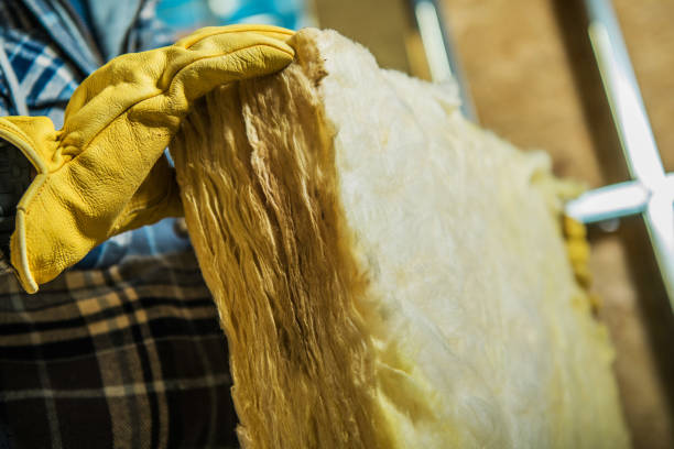 Best Affordable Insulation Services  in Shenandoah, IA