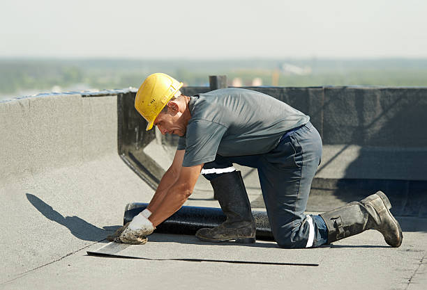 Best Attic Insulation Installation  in Shenandoah, IA