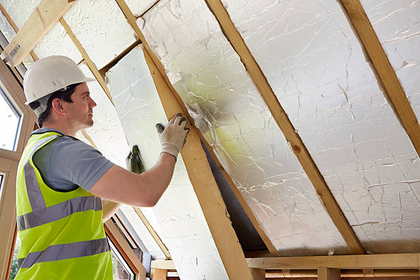 Best Soundproof Insulation Installation  in Shenandoah, IA
